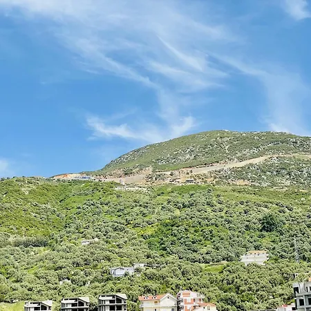 Jico Travel - Astera